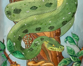 Green Tree Python: ORIGINAL