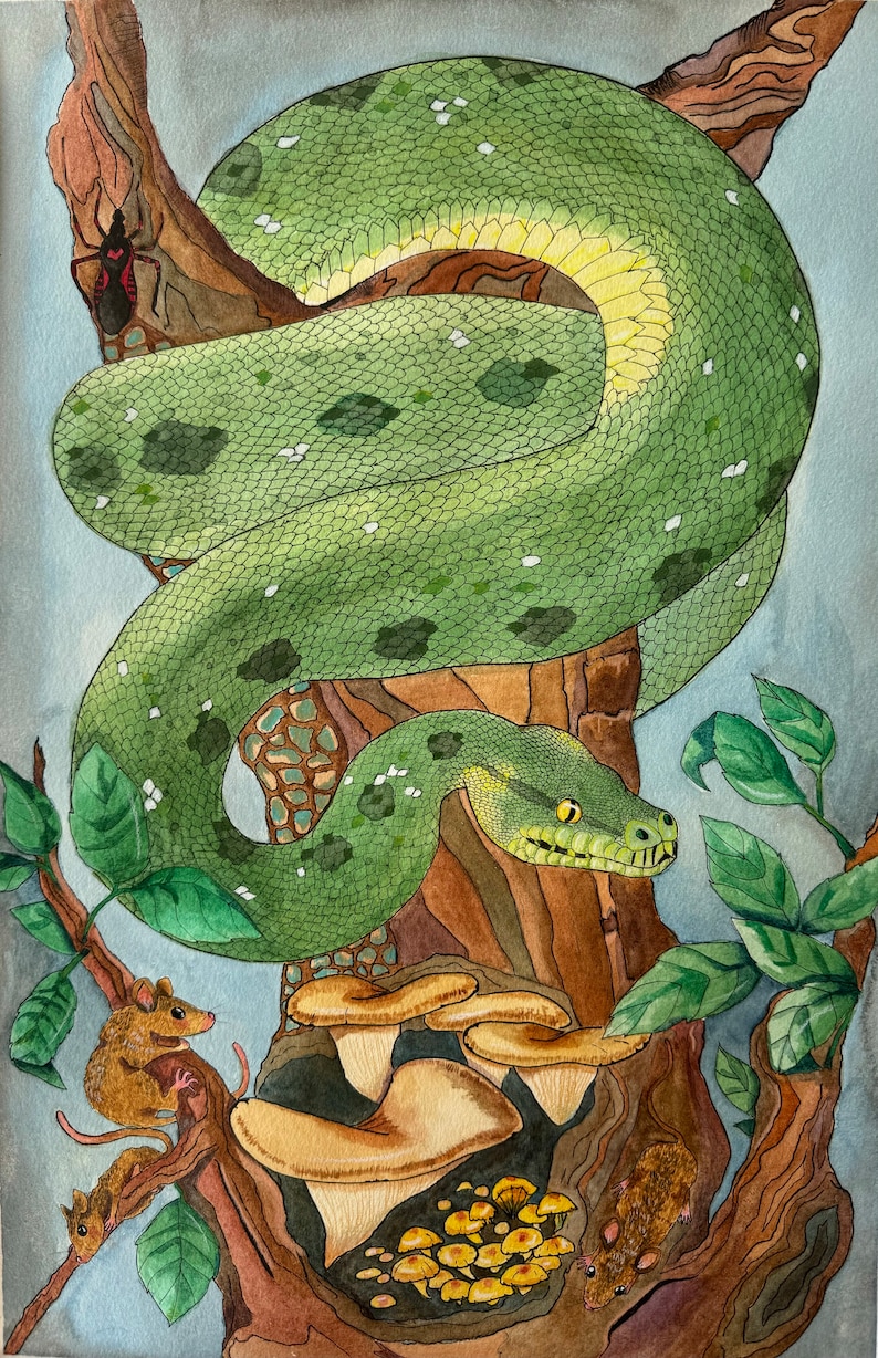 Green Tree Python: ORIGINAL - Etsy