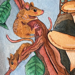 Zielony pyton drzewny: ORYGINAŁ zdjęcie 2