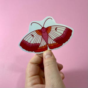 Sticker papillon gay - Sticker fierté lesbienne, sticker queer, fierté LGBTQIA+ subtile