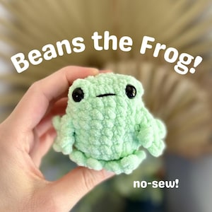 May include: A light green crocheted frog toy with black eyes and a small mouth. The text "Beans the Frog!" is above the frog, and "no-sew!" is below it. The frog is held in a hand.