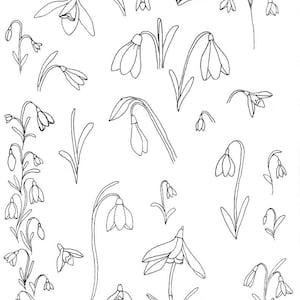 Schneeglöckchen Blumen Clip Art, herunterladbare Schneeglöckchen Blumenumrisse, Schneeglöckchen Blumen Vorlage, Schneeglöckchen druckbare PDF, Schneeglöckchen Blumen