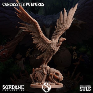 Giant Vulture | DND Dungeons and Dragons 28/32 TTRPG | African forest scavenger Hunter Animal creatures Birds undead lions Big cat skeleton