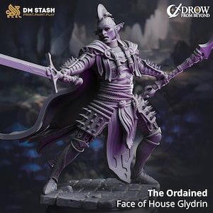 May include: A detailed, gray miniature figure of a warrior elf, holding a sword and a spear. The figure is clad in armor with spiked accents and a flowing cape. The text "The Ordained Face of House Glydrin" is visible.