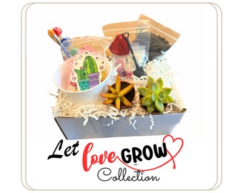 DIY Succulent Gift Box: Let Love Grow Collection "Heart Affection"