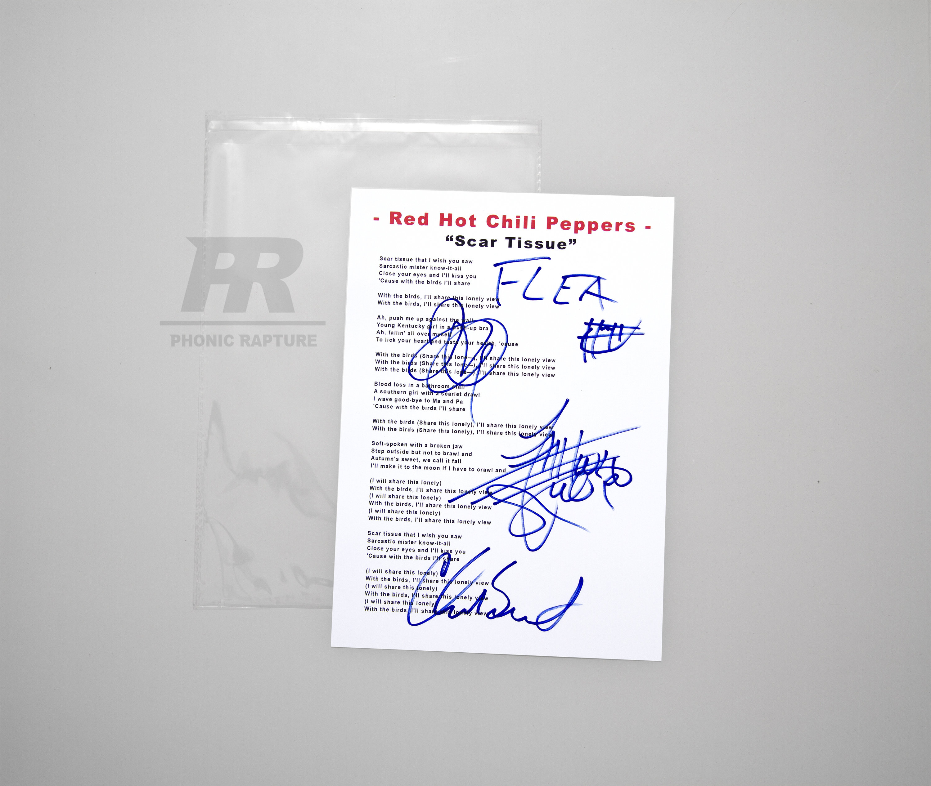 Chili Peppers Lyrics - Etsy New Zealand, image size:3000x2534