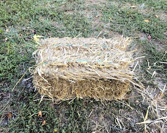 Fardos de paja de trigo dorado: lecho natural para animales, mantillo de jardín