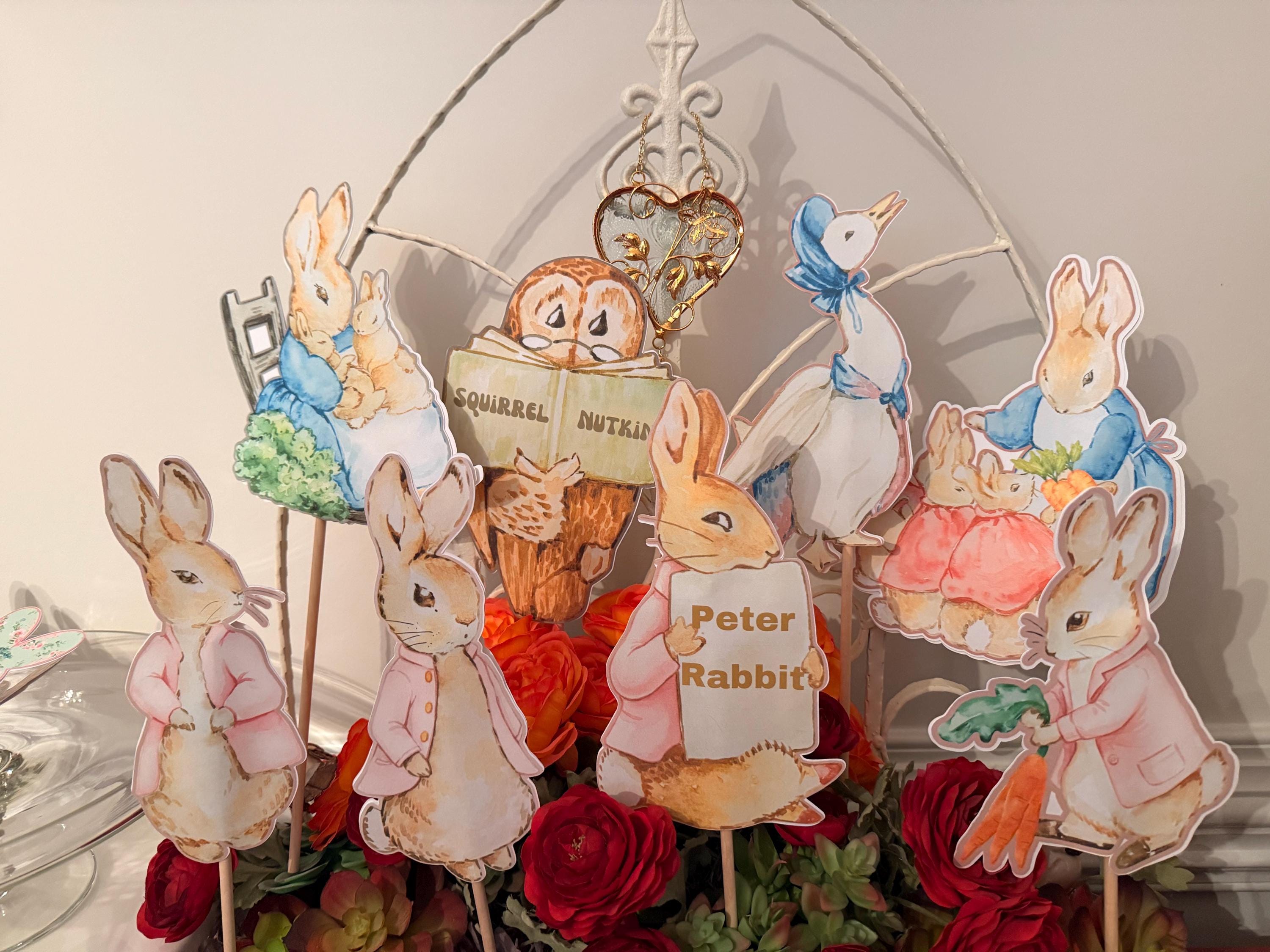 Baby Pink Beatrix Potter Peter Rabbit Flopsy and Friends Choice of ...