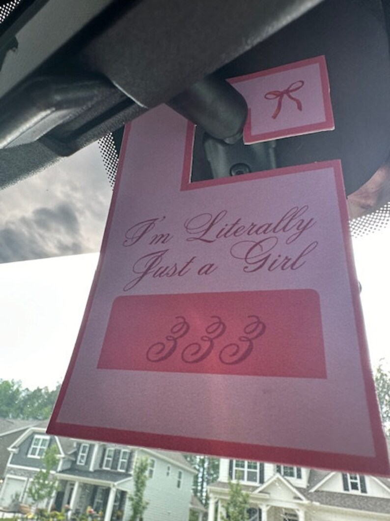 Pink Bow Princess Parking Permit Angel Numbers Custom Phrase Car