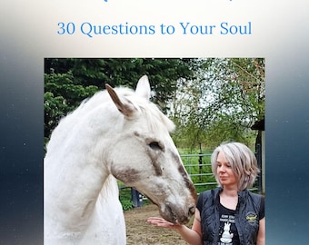 Time to Wake Up! 30 Questions to Your Soul. A Reading, Feeling and Doing Guide on how to make it through the Dark Night of the Soul