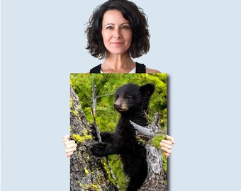 Impresión artística de un cachorro de oso negro – Fotografía rústica de vida silvestre