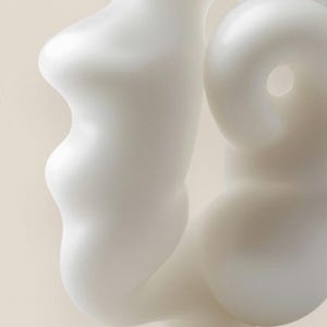 May include: Abstract white sculpture with smooth, rounded forms. The artwork features a series of interconnected, organic shapes, creating a sense of fluidity and movement. The sculpture's design is minimalist and modern, with a focus on form and texture.