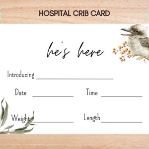 Hospital Name Sign, NICU Card Name, Name Announcement, Hospital Crib Sign, Baby Name Sign, Printable Name Card, Birth Announcement Crib Card