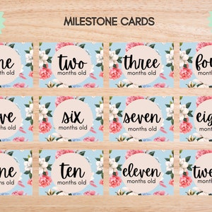Cartes d'étape mensuelles de bébé, cartes d'étape importante de croissance de bébé, cartes du mois imprimables, cartes d'étape de photo accessoire, floral rose et bleu, fleurs