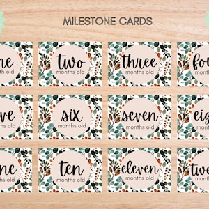 Cartes d'étape mensuelles de bébé / Cartes d'étape de croissance de bébé / Cartes d'étape mensuelles imprimables / Cartes d'étape photo accessoire