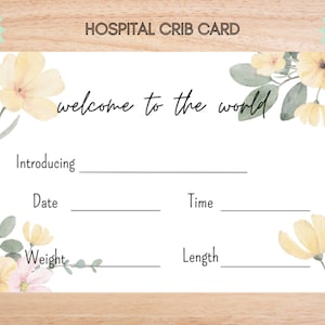 Hospital Name Sign, NICU Card Name, Name Announcement, Hospital Crib Sign, Baby Name Sign, Printable Name Card, Birth Announcement Crib Card