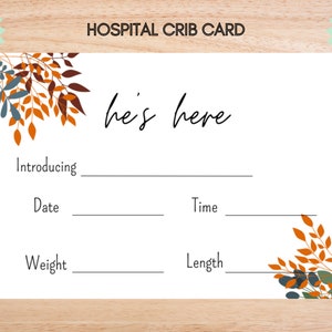 Hospital Name Sign, NICU Card Name, Name Announcement, Hospital Crib Sign, Baby Name Sign, Printable Name Card, Birth Announcement Crib Card