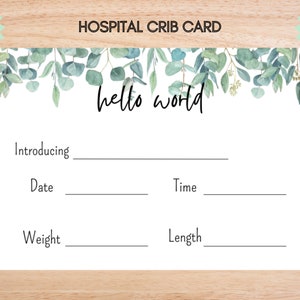Hospital Name Sign, NICU Card Name, Name Announcement, Hospital Crib Sign, Baby Name Sign, Printable Name Card, Birth Announcement Crib Card