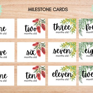 Cartes jalons mensuels de bébé, Cartes jalons de croissance de bébé, Cartes mois imprimables, Cartes jalons photo avec accessoire, Fleurs indigènes, Fleurs