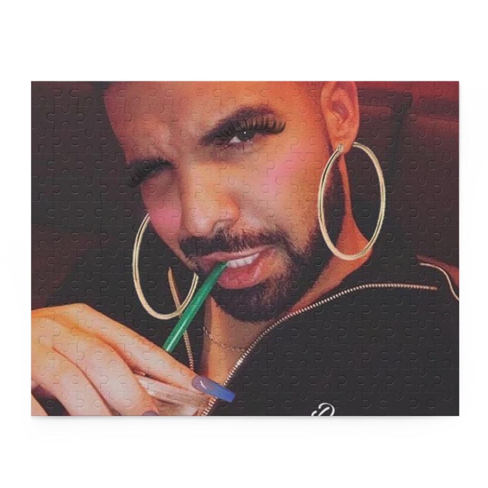 Funny Drake Bbl Drake Zesty Drake Puzzle 252piece Etsy
