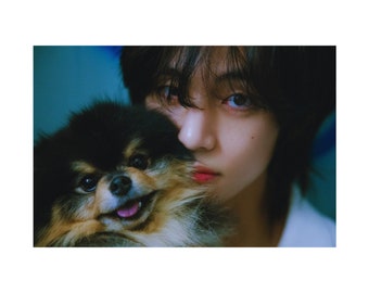 Póster de BTS V Layover con Yeontan / Arte mural mate Kpop / Decoración estética para dormitorio / Regalo para ARMY