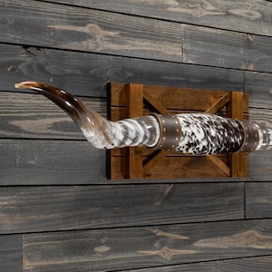 Authentic Longhorn Wall Mount 5' 6" - Polished Steer Horns - Mounted Bull Horns - Western Decor