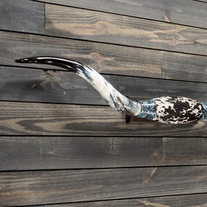 Authentic Longhorn Wall Mount 5&#39; 2&quot; - Polished Steer Horns - Mounted Bull Horns - Western Decor