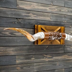 Authentic Longhorn Wall Mount 6' 2" - Polished Steer Horns - Large Mounted Bull Horns - Western Decor