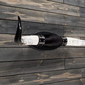 Longhorn Horn Mount 4&#39; 7&quot; - Real Steer Horns - Bull Horn Western Decor