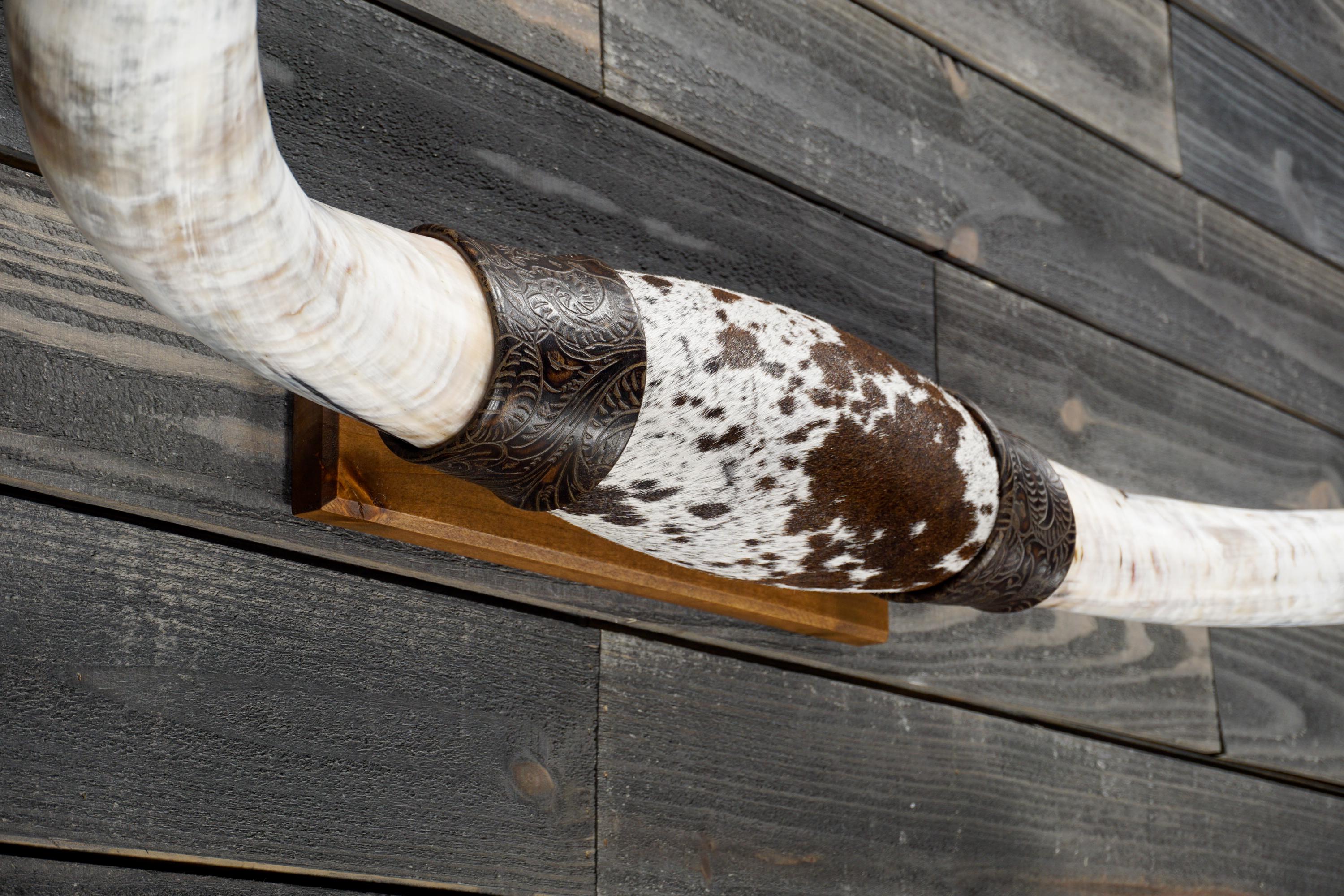 Longhorn Wall Mount 4' 2