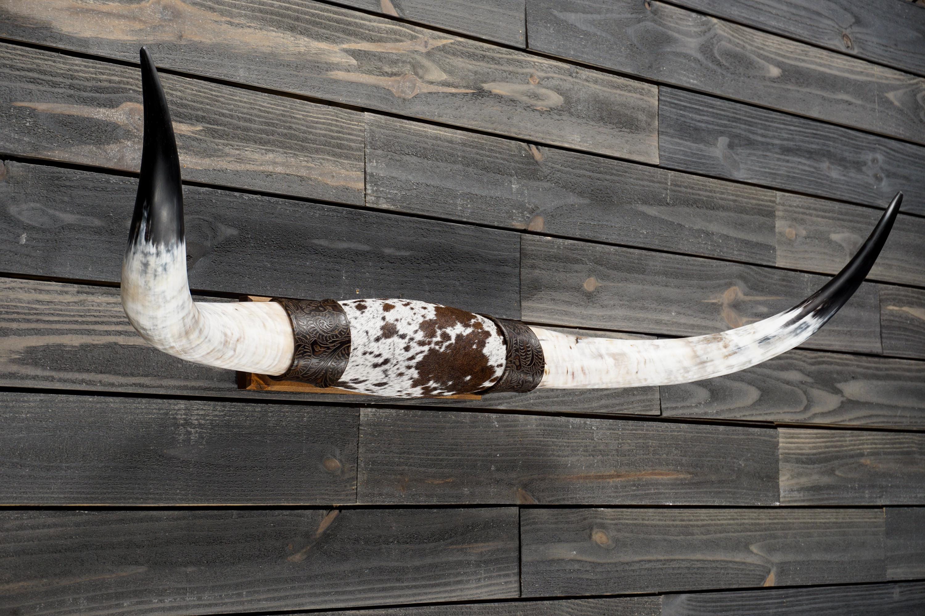 Longhorn Wall Mount 4' 2