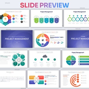 Project Management Infographic Powerpoint Template | Best Powerpoint ...