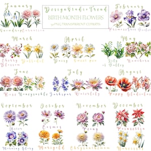 Clipart di fiori del mese di nascita ad acquerello - Set PNG da 50 pezzi Bellissimi disegni floreali di alta qualità - Pacchetto clipart per compleanno - Uso commerciale