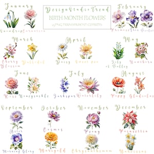Encantador conjunto de imágenes prediseñadas de flores del mes de nacimiento en acuarela: 25 hermosos diseños PNG para celebraciones de cumpleaños: alta calidad y uso comercial