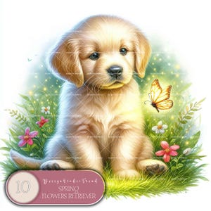 Retriever fleurs printanières - 10 dessins d'animaux adorables, décoration de chambre de bébé pour baby shower - clipart bébé pays des merveilles - non transparent - usage commercial