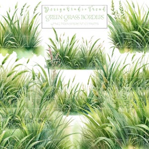 Clipart de bordas de grama aquarela fresca e vibrante - 14 unidades de tufos de primavera em PNG - Transparente de alta qualidade - Uso comercial