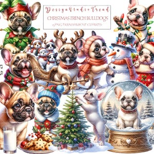 Festliche Französische Bulldogge Weihnachten Clipart Sammlung - 15 Aquarell PNG Designs für Sublimation & Kunsthandwerk - Transparent - Kommerzielle Nutzung
