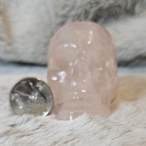 Rose Quartz Skull