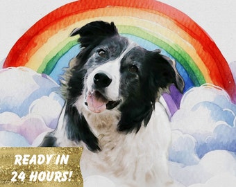 May include: A black and white border collie dog with a rainbow behind it. The dog is sitting in front of a rainbow with clouds. The text "READY IN 24 HOURS!" is on a gold banner in front of the dog.