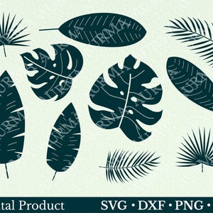Tropical Leaves Svg, Tropical Leaf Svg, Palm Leaves Svg, Monstera Svg, Palm Branch Svg, Jungle Leaves Svg, Tropical Svg