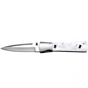 May include: A stainless steel folding knife with a pointed blade. The handle is a light silver color with black rivets. A small brass-colored pin is visible near the blade's hinge. The knife is designed for utility and everyday use.