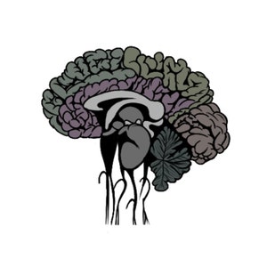 Gehirn Clip Art, psychische Gesundheit, digitale Kunst, Gehirn PNG, Sofort-Download, Bewusstsein für psychische Gesundheit