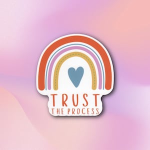 May include: A sticker with a rainbow design and the text "TRUST THE PROCESS" in a white banner. The rainbow has a heart in the center and is in shades of orange, pink, yellow, and blue.