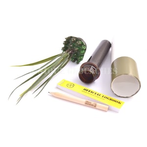 May include: A green and brown camouflage container with a yellow logbook and pencil. The container is open and the logbook is visible. The text on the logbook reads "OFFICIAL LOGBOOK" and "WWW.GEOCACHING.COM".