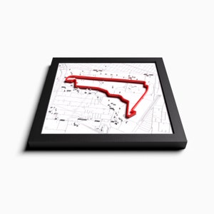 Puede incluir: Un mapa enmarcado con una pista de carreras 3D roja delineada en él. El mapa está en blanco y negro y la pista está elevada de la superficie.