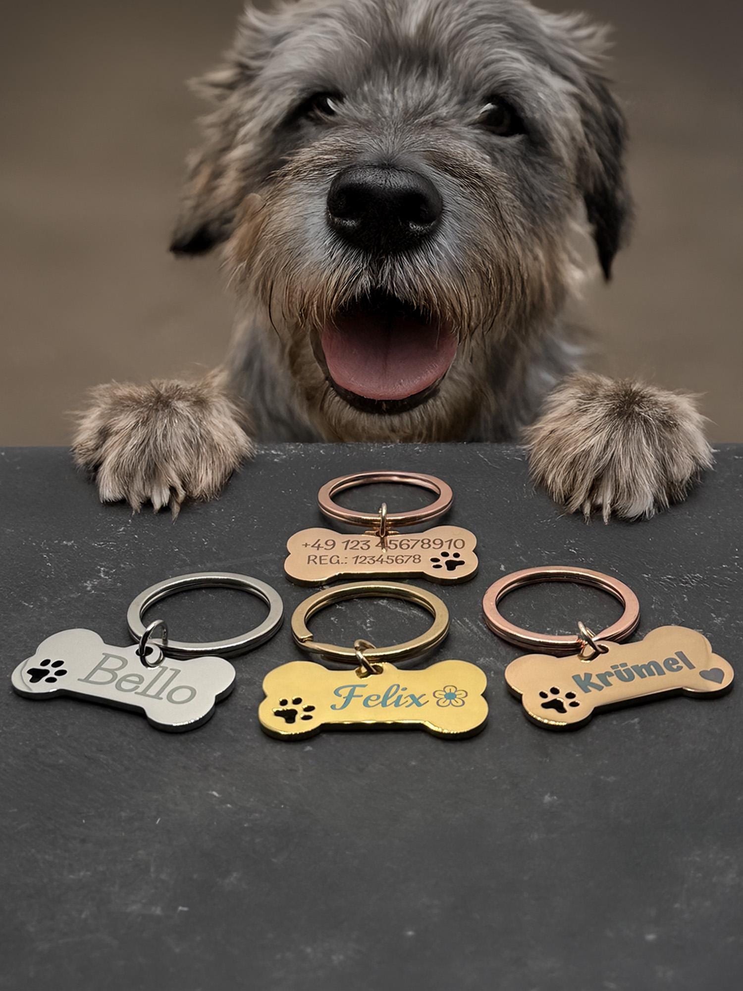 Haustiermarke Hundemarke Katzenmarke mit Gravur Schlüsselanhänger in Knochenform personalisiert