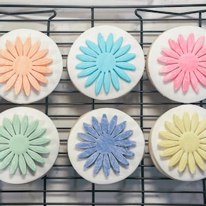 Beautiful Daisy Sugar Cookies, Delightful Gift Set 1/2 Dozen Decorated Flower Cookies, Get Well, Birthday, Cheer Up, Mothers Day, Easter