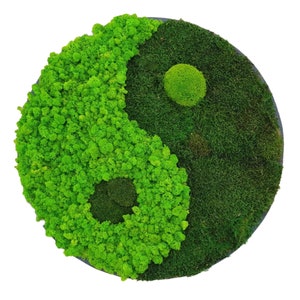 Könnte beinhalten: Ein rundes Wandbild aus grünem Moos in Form eines Yin-Yang-Symbols. Das Yin-Yang-Symbol besteht aus zwei Hälften, einer grünen und einer dunkelgrünen.