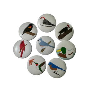 Birds Birds Birds / Hand Drawn Buttons