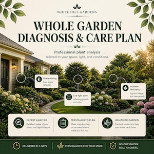 Op de afbeelding: Een advertentie voor White Hill Gardens, met een diagnose en onderhoudsplan voor de hele tuin. De afbeelding toont een huis, een tuinpad en tekst met een gedetailleerde analyse, gepersonaliseerde plannen en gezondere tuinen. De tekst vermeldt ook plantanalyse op maat van ruimte, licht en omstandigheden.